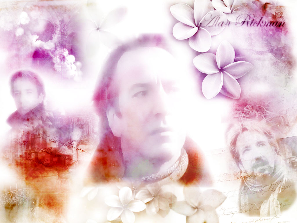 alan rickman wallpaper.jpg